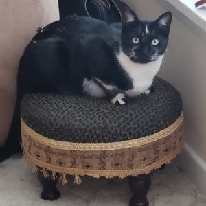 Meet your Posher, Sonya